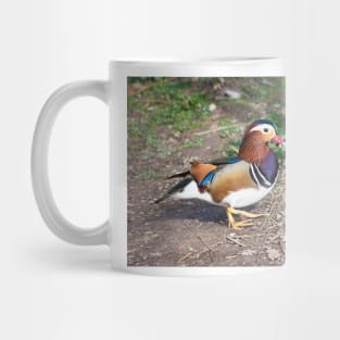 Mandarin Duck Mug